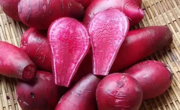 ���ܲ��Ĺ�Ч������ ���ܲ���ʲô������������